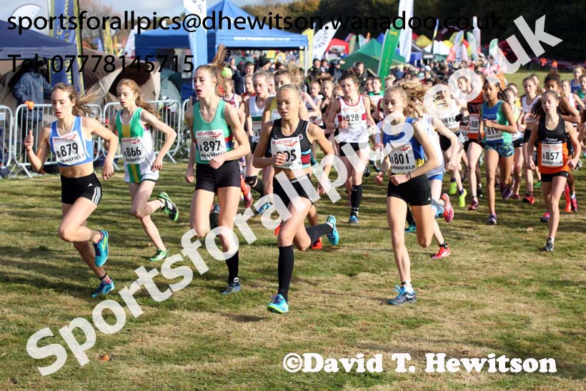 Girls under-15s, 2016 National Cross Country Relays, Berry Hill Park, Mansfield. Photo: David T. Hewitson/Sports for All Pics